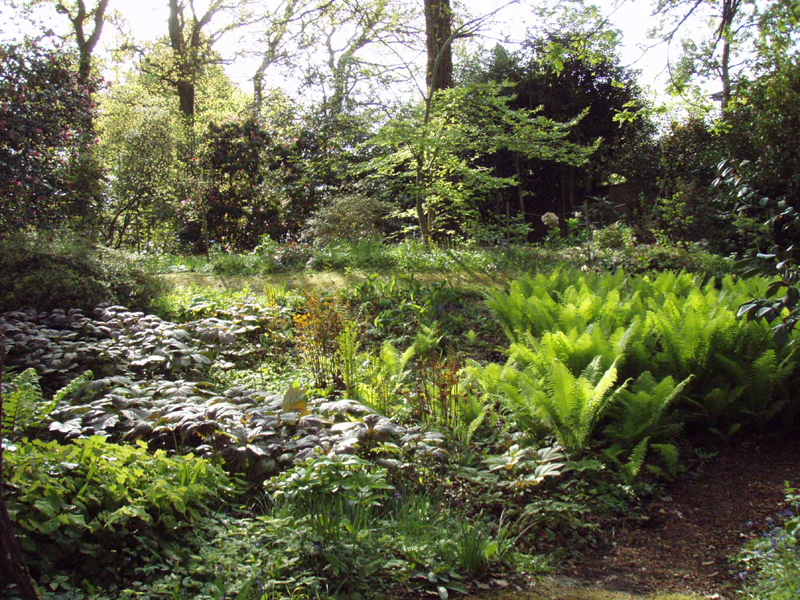 /gallery/spring/14-gun 048.jpg